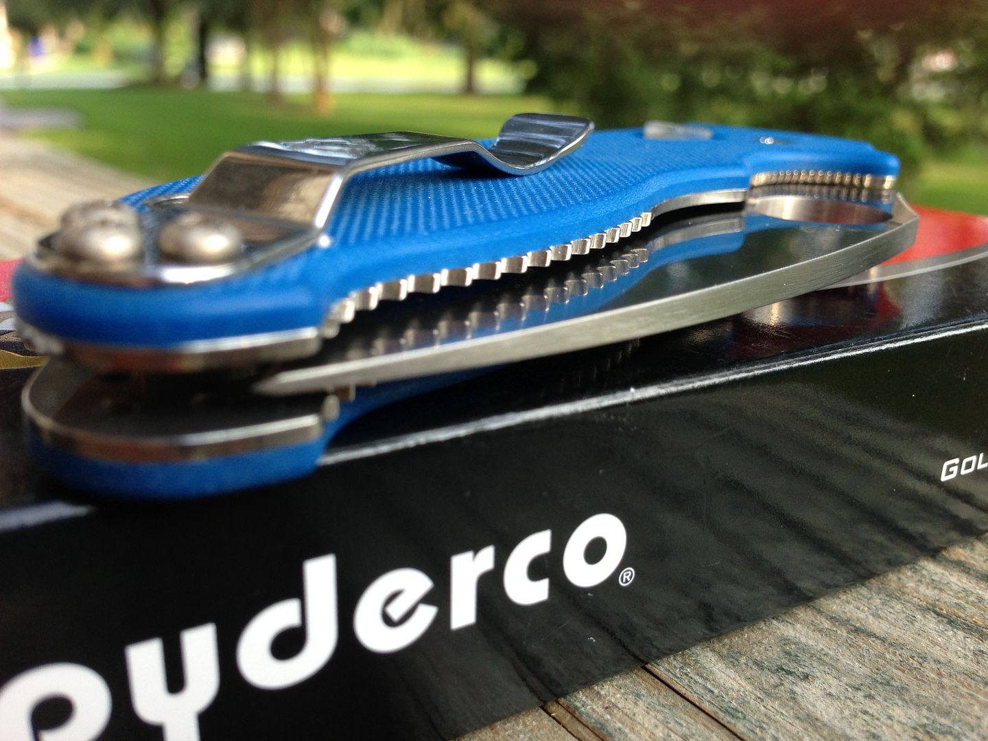 Spyderco's> "Q" KNIVES Manix2 (Blue Sprint Run) & Native Ti Fluted